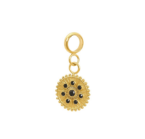 iXXXi connect charm  Midnight  Black Diamond Goud 12mm 154028-01