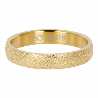 iXXXi Ring Sandblasted Goud 4mm R03001-01