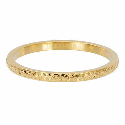 iXXXi Ring Dancer Goud 2mm R02807-01