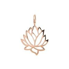  iXXXi hanger Lotus rose