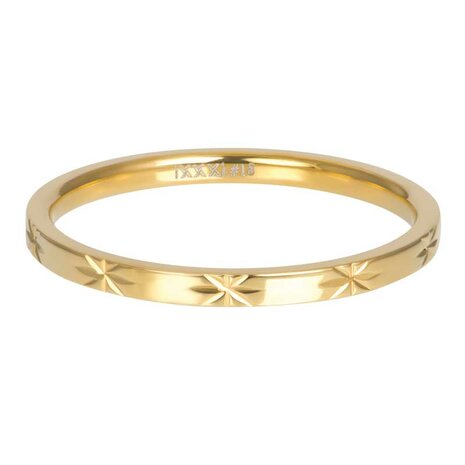 iXXXi ring Sterre Goud 2mm