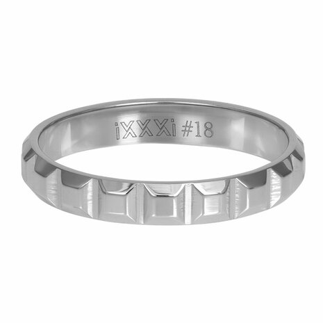 IxxxI vulring  Abstract ART zilver 4 mm