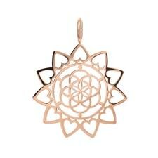  iXXXi hanger Mandala Rose