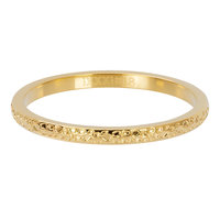 iXXXi Ring Dancer Goud 2mm R02807-01