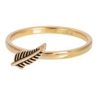 iXXXi ring Symbol Feather. Goud