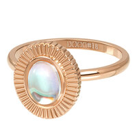 IXXXI vulring Dahlia Rose